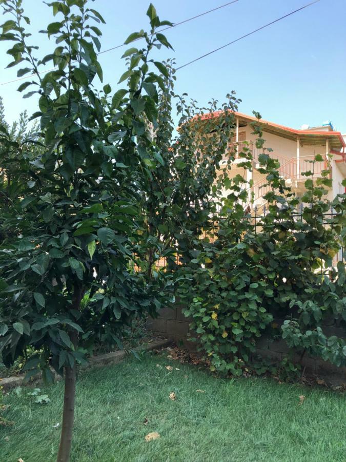 Hotel Villa Ago Permet Ngoại thất bức ảnh