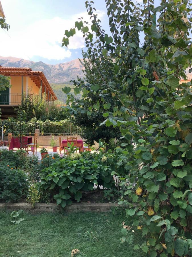 Hotel Villa Ago Permet Ngoại thất bức ảnh