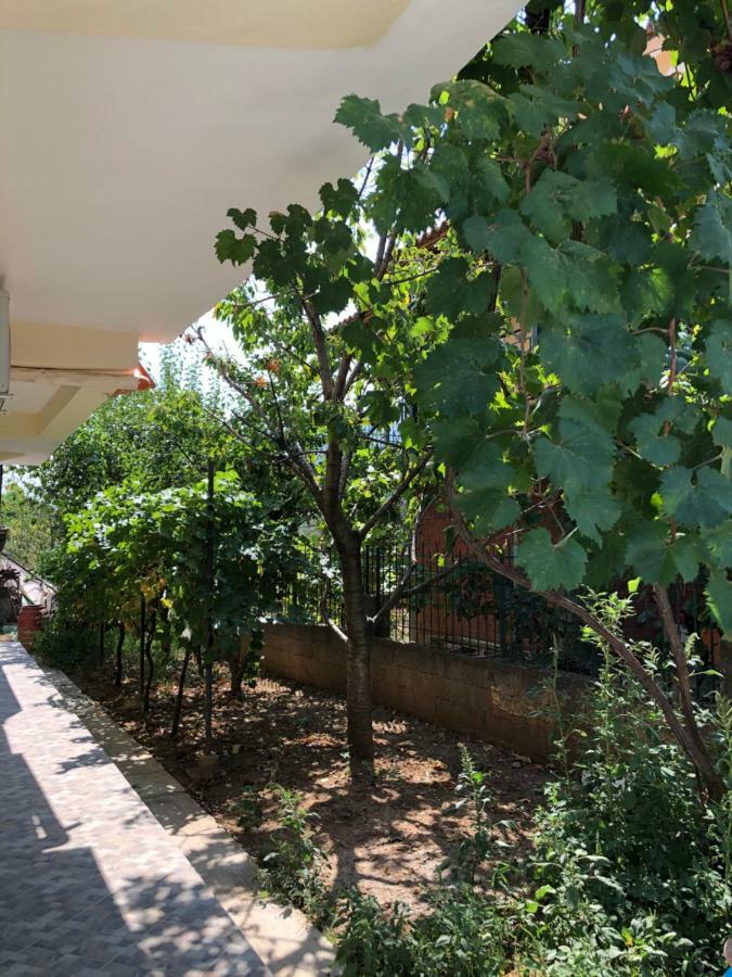 Hotel Villa Ago Permet Ngoại thất bức ảnh